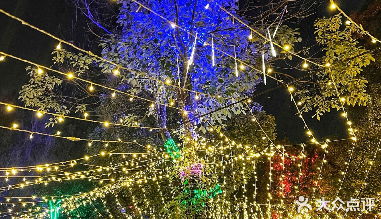 🌟大凉山的柴火鸡就是够味