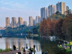 -重庆彩云湖湿地公园