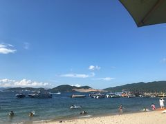 -100蛋泥浆浴