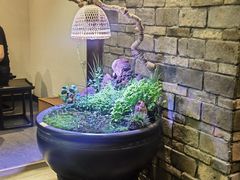-鸢飞潍坊菜馆(鸢飞大酒店)