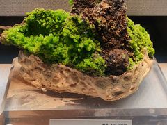 -湖南省地质博物馆