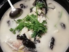 -老淳安—伴山伴湖(千岛湖开元度假村店)