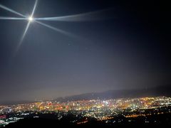 -长虫山生态公园风景林