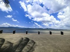 -深圳湾公园(南山区)