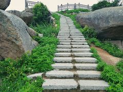-花竹村