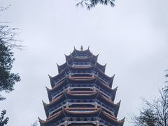 -铁山坪森林公园