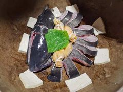 -滇小鱼·云南野生菌火锅(上杭路店)