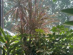 -大连铂尔曼酒店-铂尔曼美食廊 Pullman Deli