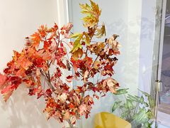 -echoes coffee回响咖啡(红山店)