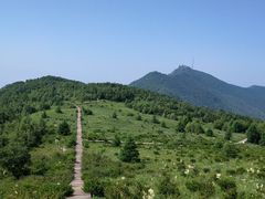 -白草畔自然风景区