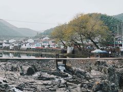 -鹿亭中村