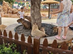 -大连森林动物园