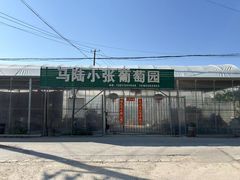 -马陆小张葡萄园农家乐