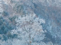 -龙庆峡风景区
