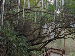 -天河潭旅游度假区