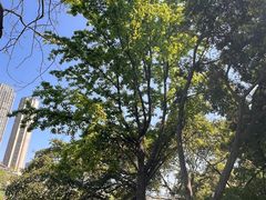 -成都市活水公园