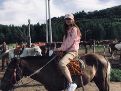 -塞罕坝国家级自然保护区