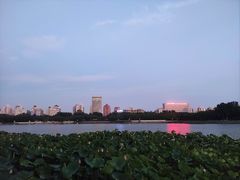-莲花池公园