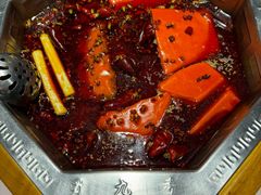 -蜀九香火锅(九眼桥店)