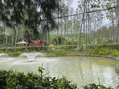 -大蜀山国家森林公园