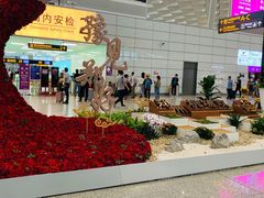 -郑州新郑国际机场