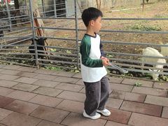 -厦门悦华酒店