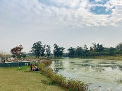 -两河城市森林公园