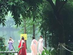 -重庆彩云湖湿地公园