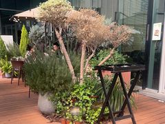 -La Terre乐田(万象城店)