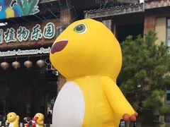 -南宫五洲植物乐园