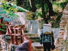 -北京上方山国家森林公园