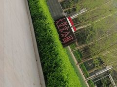 -大望京公园