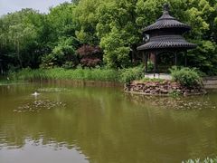 -天目湖山水园