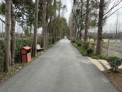 -上海长兴岛郊野公园