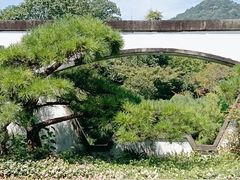 -杭州植物园