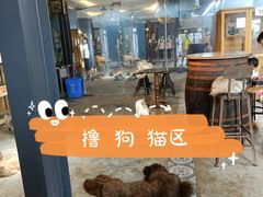 -more than meow吴止猫主题餐厅(承德 中船汇店)