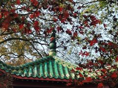 -岳麓山风景名胜区