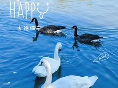 -天津东丽湖风景区