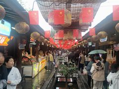 -茯茶镇