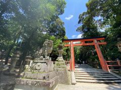 -奈良公园