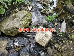 -白水寺森林公园