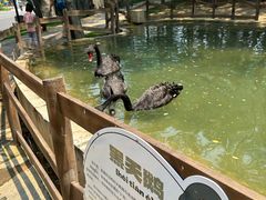 -南戴河国际娱乐中心