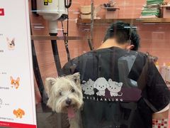 -FAELING PETS美天灵宠物(合生汇店)