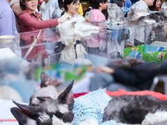-中粮·祥云小镇