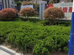 -崂山区第二实验小学