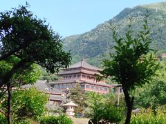 -华清宫景区