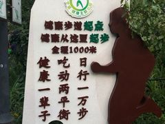 -文瀛公园