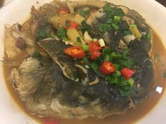 千岛湖鱼头-钓台野鱼馆(钱江国际时代广场店)