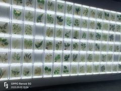 -广东中医药博物馆