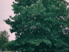 -华南国家植物园-售票处